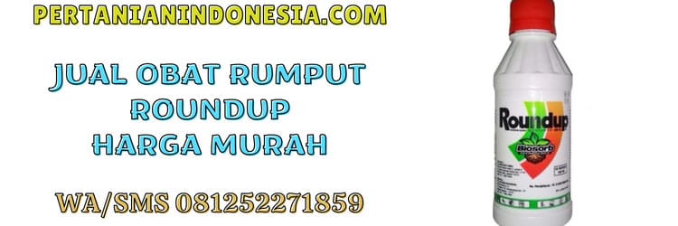 jual,obat rumput roundup,murah,pertanian indonesia,herbisida